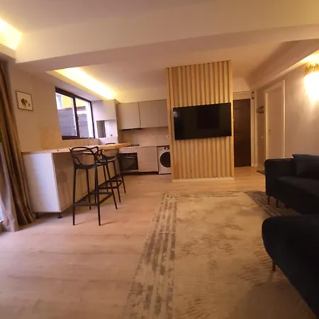 Cu Terasa Appartement