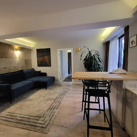 Cu Terasa * Bükreş